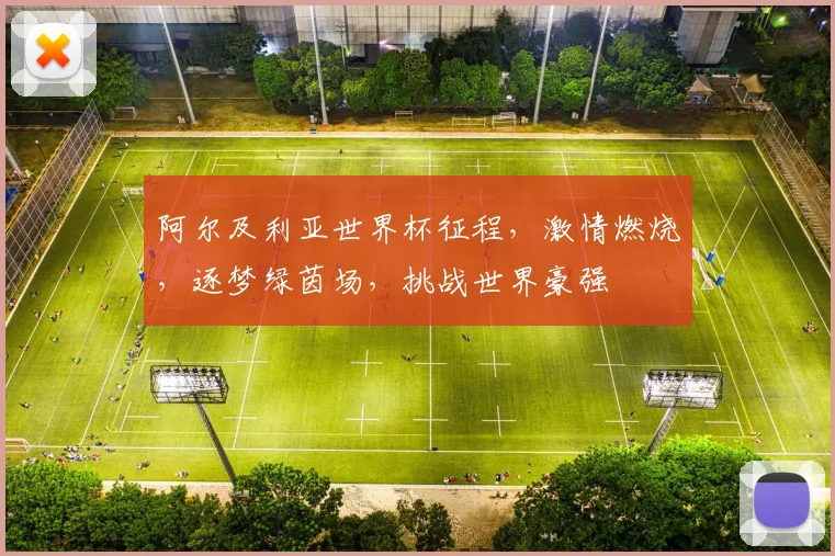 阿尔及利亚世界杯征程，激情燃烧，逐梦绿茵场，挑战世界豪强
