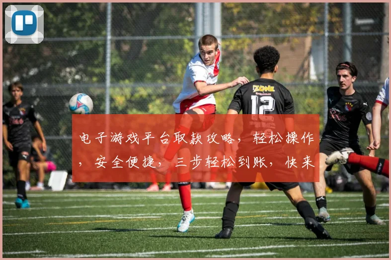 电子游戏平台取款攻略，轻松操作，安全便捷，三步轻松到账，快来看看吧