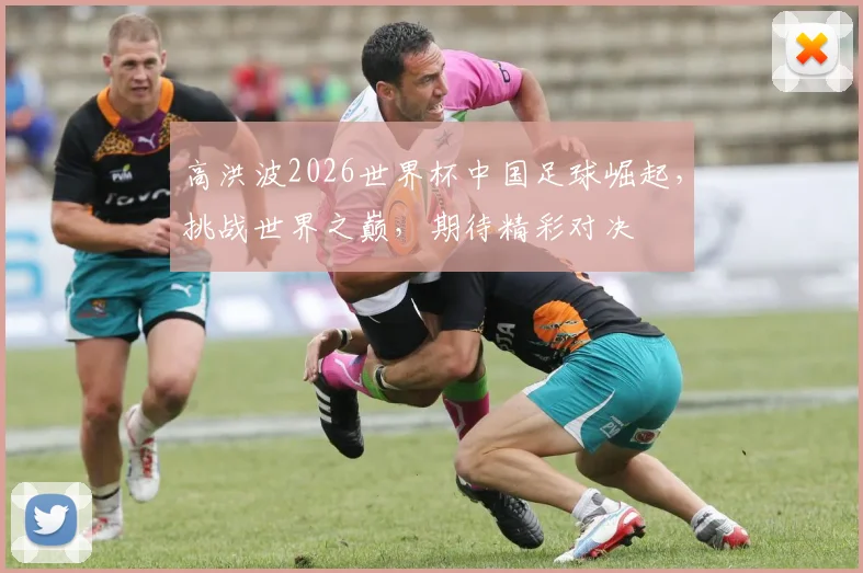 高洪波2026世界杯中国足球崛起，挑战世界之巅，期待精彩对决