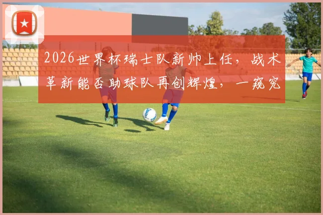 2026世界杯瑞士队新帅上任，战术革新能否助球队再创辉煌，一窥究竟