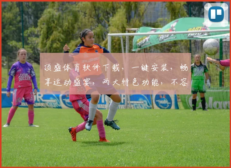 顶盛体育软件下载，一键安装，畅享运动盛宴，两大特色功能，不容错过，快速下载体验