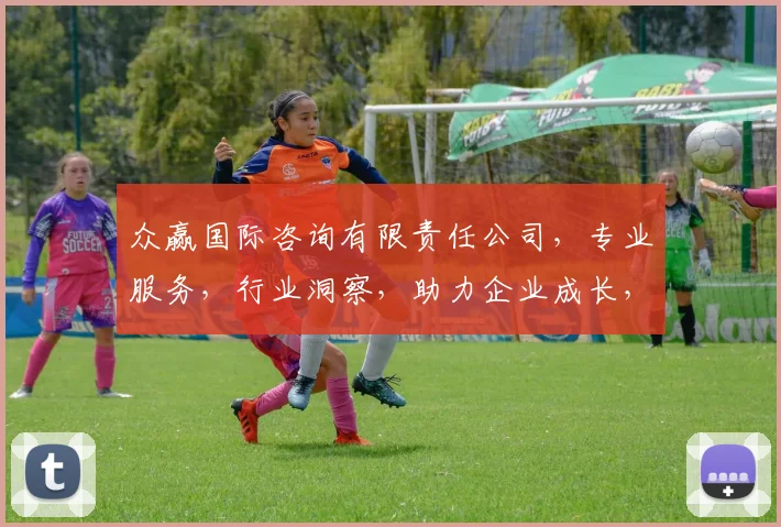 众赢国际咨询有限责任公司，专业服务，行业洞察，助力企业成长，三驾马车，共铸辉煌，成就未来