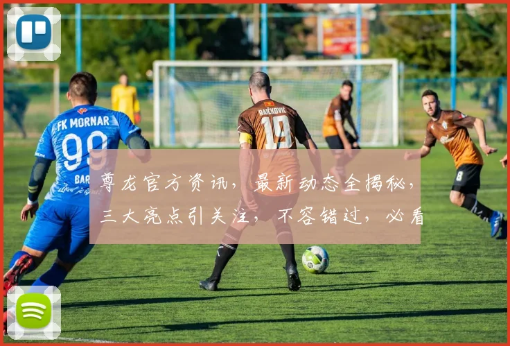 尊龙官方资讯，最新动态全揭秘，三大亮点引关注，不容错过，必看内容三连发